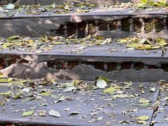 -黑龙江省森林植物园