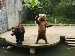 -贵州森林野生动物园