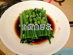 -避风塘(江桥万达店)