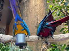 -杭州开元森泊度假乐园