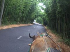 -杭州双溪漂流景区