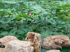 -长春世界雕塑园冰雪艺术天地