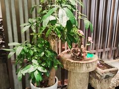 -石泉私宴