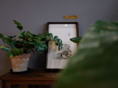-一叶觅山(半边街店)