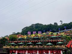 -枇杷园食为鲜火锅(南山店)