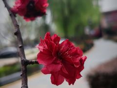 -汉长安城未央宫国家考古遗址公园