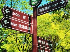 -莲花池公园