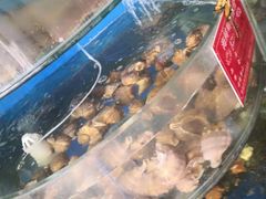 -叶存利海鲜大馅饺子(东戴河止锚湾店)