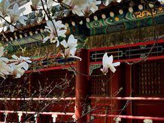 -潭柘寺景区