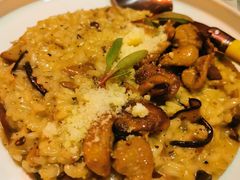 松露什锦蘑菇烩饭-FORNO意角(三里屯太古里店)