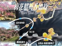 -山外山·林语花园餐厅