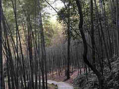 -西湖风景区十里琅珰-五云山