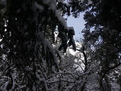 -毕棚沟景区