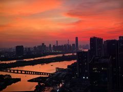 -鱼珠码头(轮渡站)