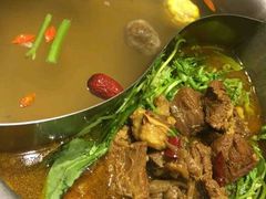 -手选潮汕鲜活牛肉火锅(二七广场店)