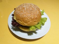 -素虎小呆鸟(西二旗店)