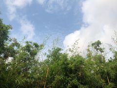 -台山颐和温泉城