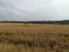 -塞罕坝国家级自然保护区