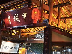 -青城甲(青城山店)