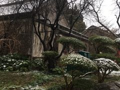 -山东大学(趵突泉校区)
