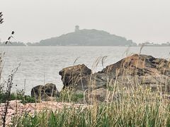 -上海市保健医疗中心