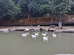 -云丘山景区