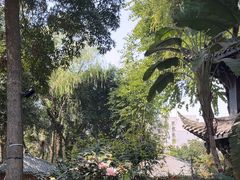 -大妙火锅·非物质文化遗产(东湖公园店)