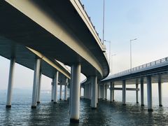 -深圳湾公园(南山区)