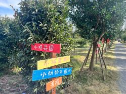 -前小桔亲子创意农场·草莓采摘·露营烧烤