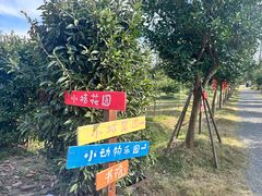 -前小桔亲子创意农场·草莓采摘·露营烧烤