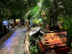 -酷嗒动物文化乐园(cutezoo西溪乐天城店)