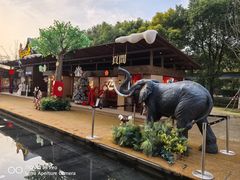 -Grande A'moo(上海万象城店)