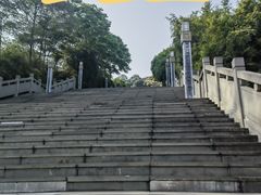 -铁山坪森林公园