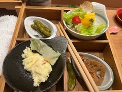 -松涛日本料理
