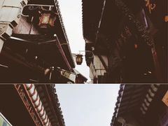 -大塘金香草谷