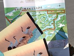 -盐城丹顶鹤湿地生态旅游区