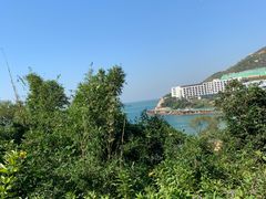 -东澳岛