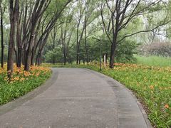 -北坞公园