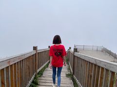 -白草畔自然风景区