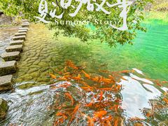 -温州永嘉书院
