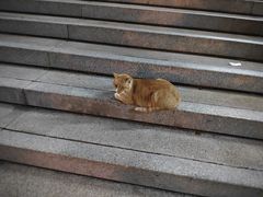 -武汉理工大学（南湖新校区）-图书馆