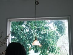 -懒鱼时光馆(沙坪坝店)