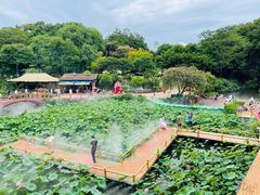 -广州莲花山旅游区