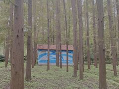 -东平国家森林公园