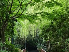 -长广溪湿地公园