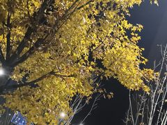 -海底捞火锅(蒙城路店)
