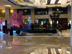 -北京首都机场希尔顿酒店