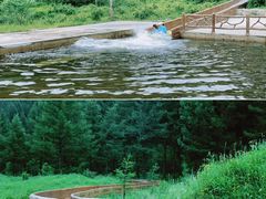 -苏木山森林公园