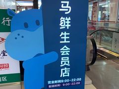 -盒马鲜生(大成店)