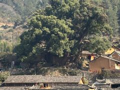 -杨家堂村
